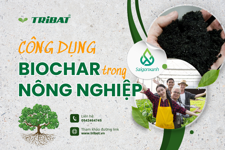 CÔNG DỤNG CỦA BIOCHAR TRONG NÔNG NGHIỆP