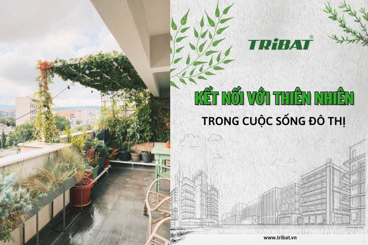 KẾT NỐI VỚI THIÊN NHIÊN TRONG CUỘC SỐNG ĐÔ THỊ