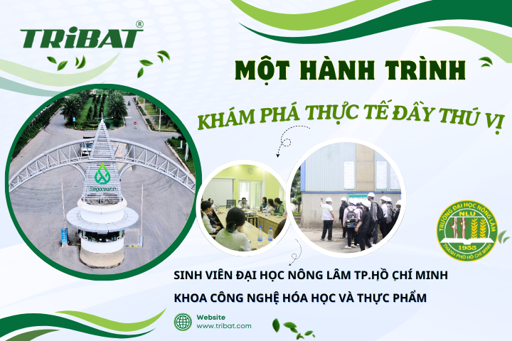 MỘT HÀNH TRÌNH KHÁM PHÁ THỰC TẾ ĐẦY THÚ VỊ CỦA SINH VIÊN ĐẠI HỌC NÔNG LÂM