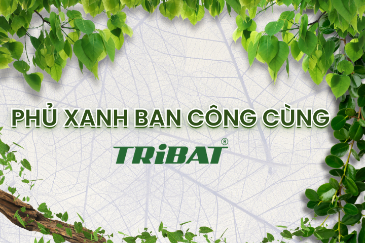 PHỦ XANH BAN CÔNG CÙNG TRiBAT