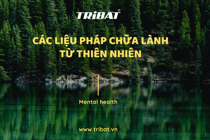 CÁC BIỆN PHÁP CHỮA LÀNH TỪ THIÊN NHIÊN