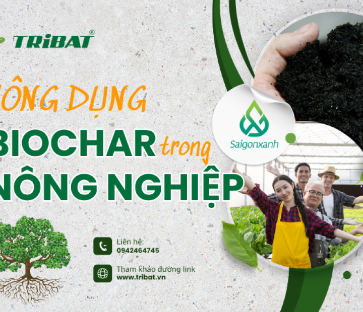 CÔNG DỤNG CỦA BIOCHAR TRONG NÔNG NGHIỆP